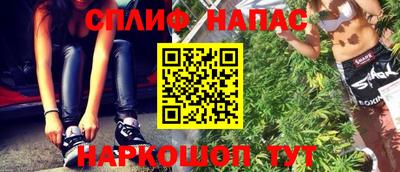 дмт Ставрополь