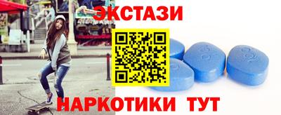 гашик Славгород