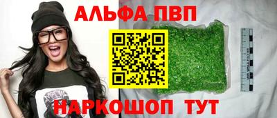 гашик Славгород