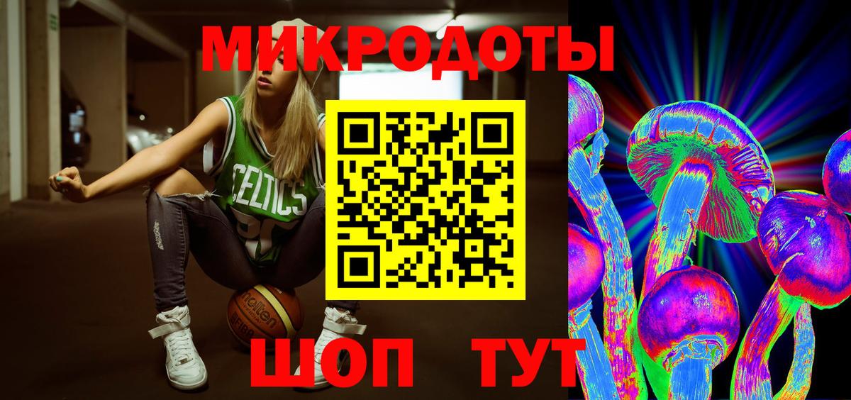 Нурлат  Галлюциногенные грибы Cubensis  Вход с VPN 